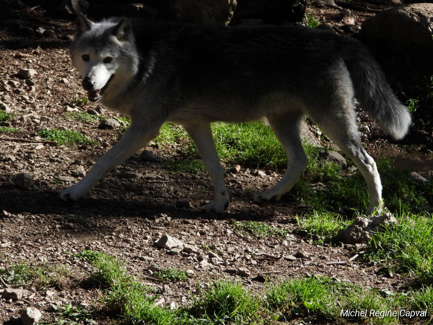 Photo n° 16 de l'avis de michel.a fait le 03/10/2019 à 13:25