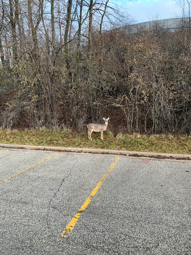 Water Park «Pirates’ Hollow Waterpark», reviews and photos, 201 N Webster St, Port Washington, WI 53074, USA