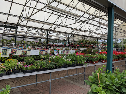 Garden Center «Sixteen Acres Garden Center», reviews and photos, 1359 Wilbraham Rd, Springfield, MA 01119, USA