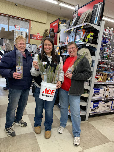 Anaconda's Ace Hardware