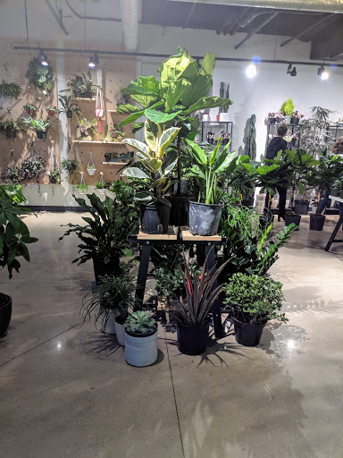 The Plant Parlor