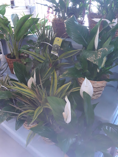 Florist «Corona Rose Flowers & Gifts», reviews and photos, 844 W 6th St, Corona, CA 92882, USA