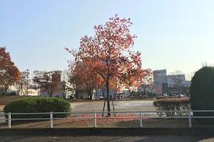 Ryutsu Center Park image
