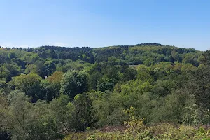 Lickey Hills Country Park image