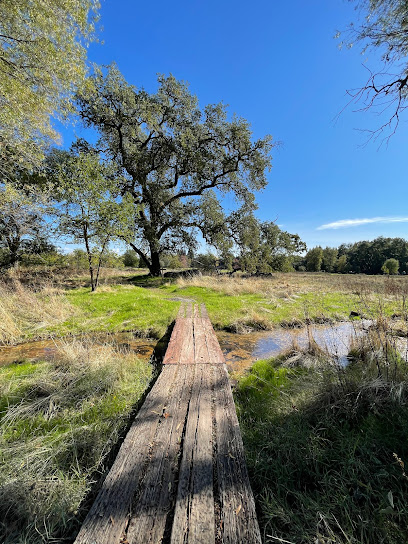 Traylor Ranch Bird Sanctuary And Nature Reserve