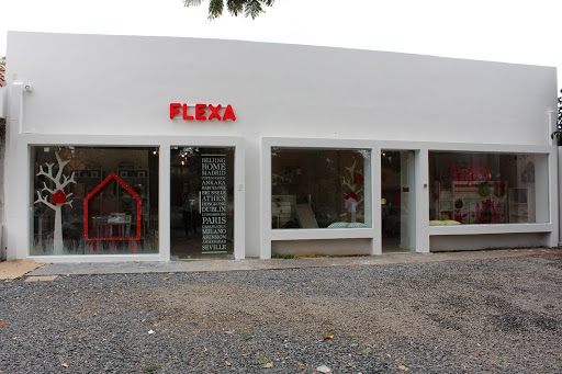 FLEXA SHOP ASUNCION