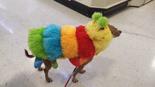 Pet Supply Store «PetSmart», reviews and photos, 6675 S Virginia St, Reno, NV 89511, USA