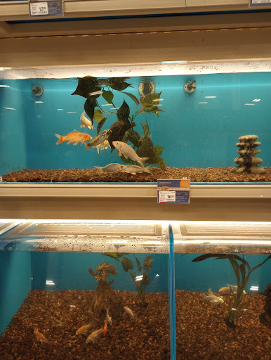 Pet Supply Store «PetSmart», reviews and photos, 5650 Mercury Dr, Dearborn, MI 48126, USA