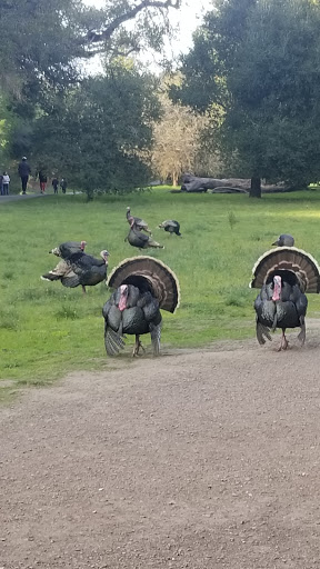 Nature Preserve «Rancho San Antonio Open Space Preserve», reviews and photos, 22500 Cristo Rey Dr, Cupertino, CA 95014, USA