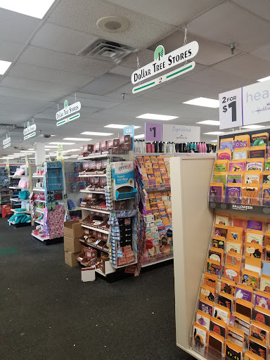 Dollar Store «Dollar Tree», reviews and photos, 5448 Perkiomen Ave, Reading, PA 19606, USA