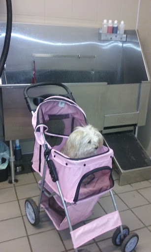 Pet Supply Store «Pet Supplies Plus», reviews and photos, 803 Hillcrest Rd, Mobile, AL 36695, USA