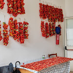 Photo n°15 de l'avis de Francy.V fait le 10/08/2023 à 09:33 sur le  Camping Residence Villaggio San Michele - Vieste à Vieste