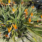 Photo n°5 de l'avis de Angela.u fait le 23/04/2019 à 11:31 sur le  Hotel Terme Providence à Forio