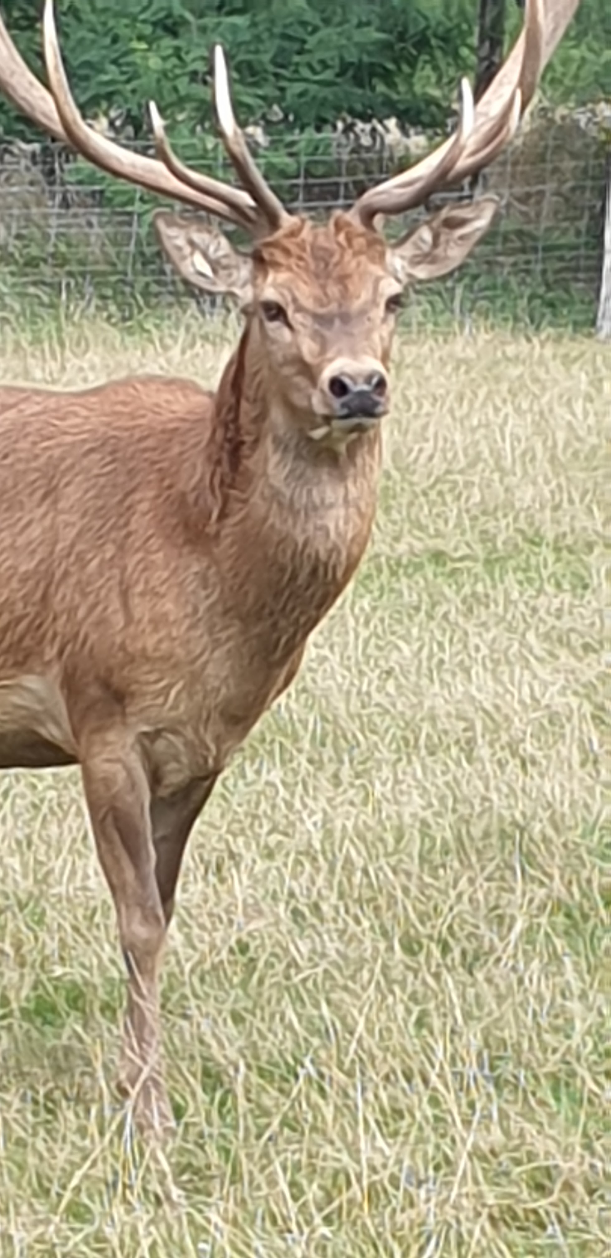 Photo n° 1 de l'avis de Kimberley.e fait le 22/08/2019 à 17:03