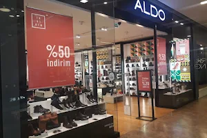 Aldo image