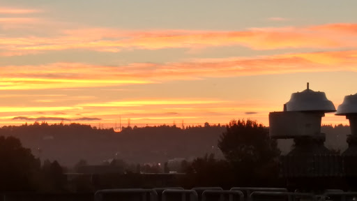 Park «Waterworks Gardens», reviews and photos, Oakesdale Ave SW, Renton, WA 98057, USA