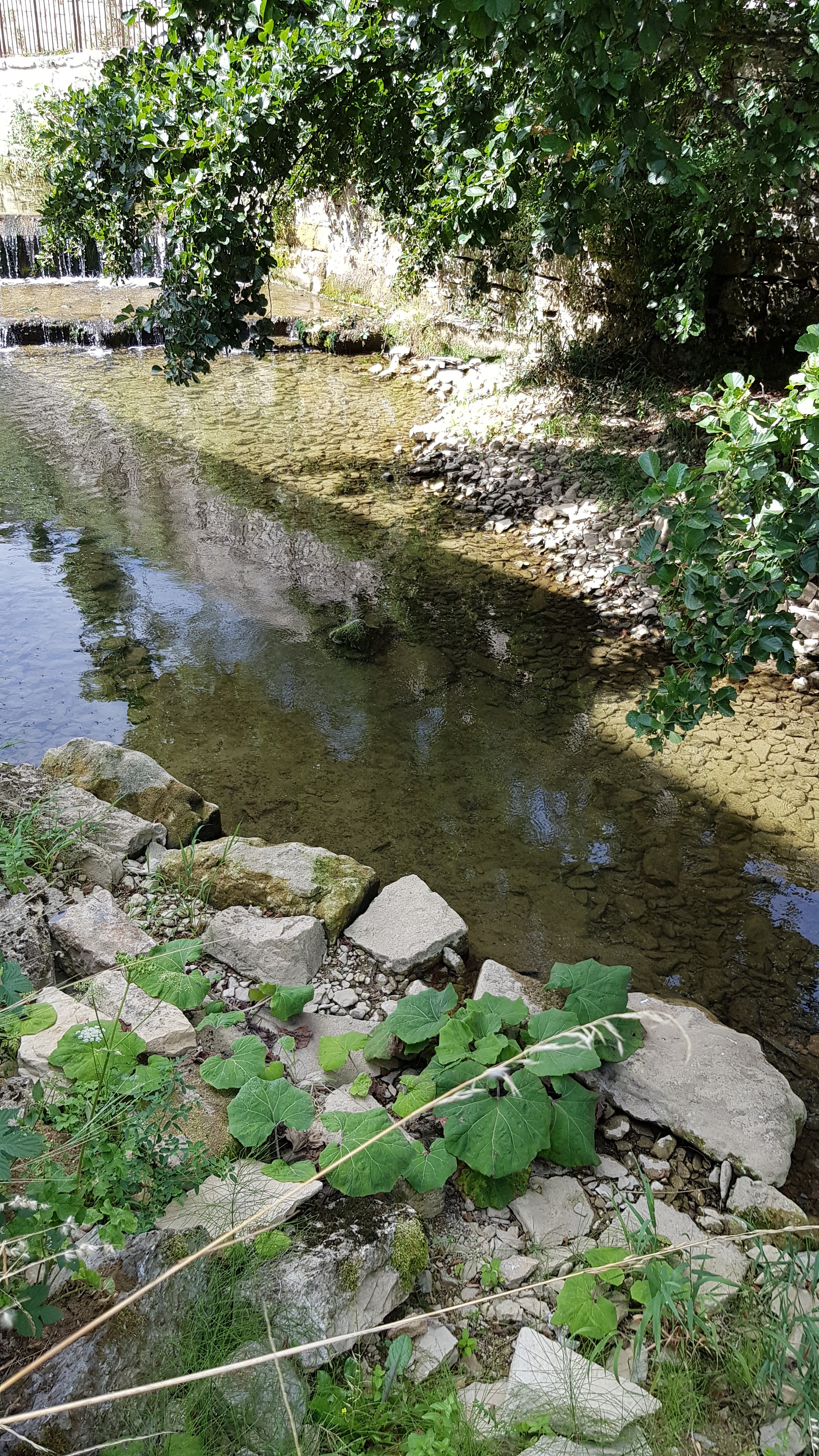 Photo n° 10 de l'avis de Le.o fait le 29/08/2020 à 19:03