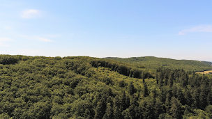 Photo n°19 de Chalet de la chasse à Trept ()