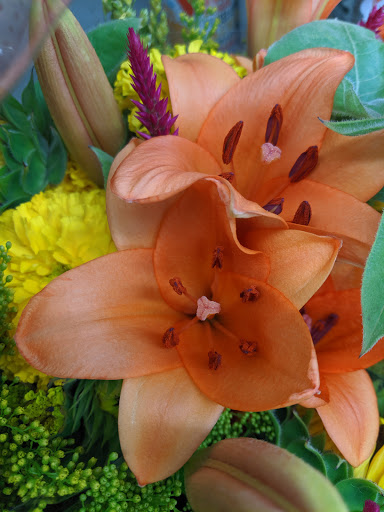 Grocery Store «Fresh Plus Grocery», reviews and photos, 1221 W Lynn St, Austin, TX 78703, USA