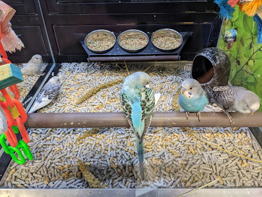 Pet Supply Store «PetSmart», reviews and photos, 11833 Dallas Pkwy, Frisco, TX 75033, USA