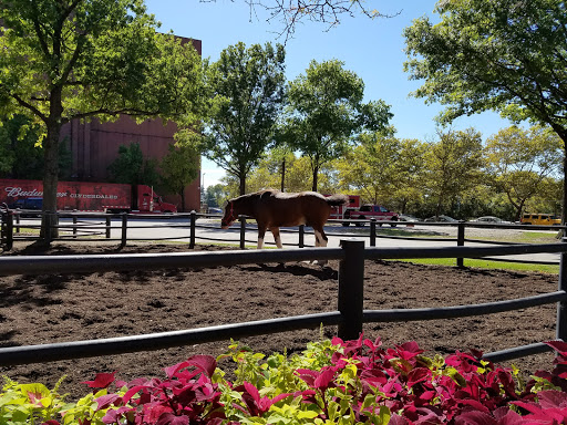 Casino «Ameristar Casino Resort Spa St. Charles», reviews and photos, 1 Ameristar Blvd, St Charles, MO 63301, USA