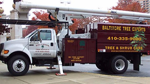  alt='Amazing all around experience with Baltimore Tree Experts. The receptionist Alaina was extremely helpful and professional'