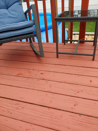 Pet Supply Store «PetSmart», reviews and photos, 4824 211th St, Matteson, IL 60443, USA