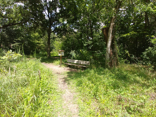 Non-Profit Organization «Nature Discovery Center», reviews and photos, 7112 Newcastle St, Bellaire, TX 77401, USA