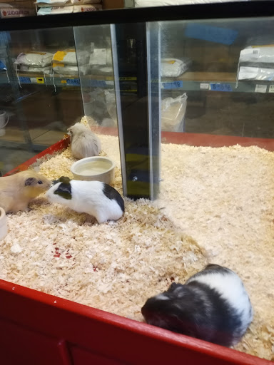 Animal Feed Store «Whittier Feed Store», reviews and photos, 12618 Penn St, Whittier, CA 90602, USA