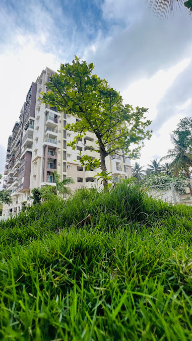 Google Maps image 12