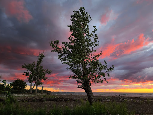 Park «Gratiot Park», reviews and photos, NY-5 & Point Dr W, Dunkirk, NY 14048, USA