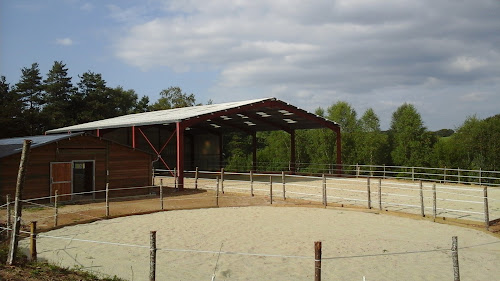 Les Ecuries De Mézane, centre de rééducation pour chevaux. à Marcolès