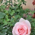 Photo n°11 de l'avis de Denis.a fait le 18/10/2022 à 19:14 sur le  Hotel und Ausflugsgaststätte Ostseeland à Rostock