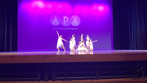 Performing Arts Theater «South Milwaukee Performing Arts Center», reviews and photos, 901 15th Ave, South Milwaukee, WI 53172, USA