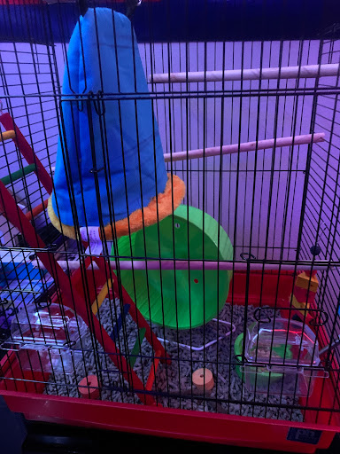 Pet Store «safari pets», reviews and photos, 808 W Main St, Cabot, AR 72023, USA