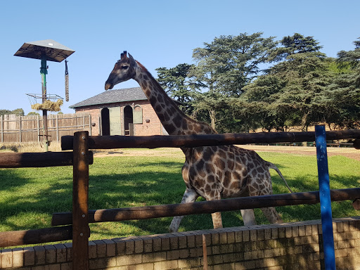 Johannesburg Zoo Parking Arcade