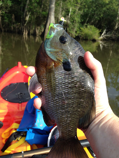 Fishing Camp «Becks Lake Fish Camp», reviews and photos, 2020 Becks Lake Rd, Cantonment, FL 32533, USA