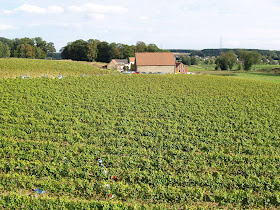 Wine Domaine du Chenoy