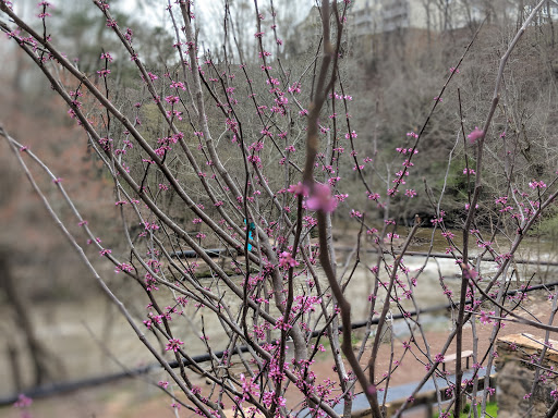 Tourist Attraction «Vickery Creek Falls Roswell Mill», reviews and photos, 95 Mill St, Roswell, GA 30075, USA