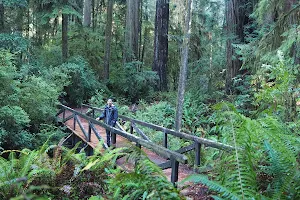 Simpson-Reed Trailhead image