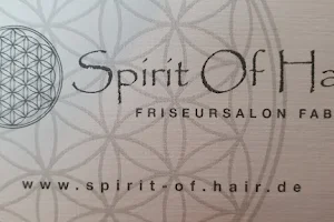 Spirit Of Hair image