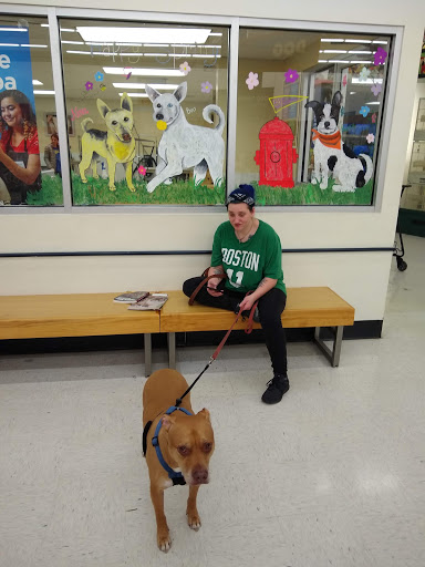 Pet Supply Store «Petco Animal Supplies», reviews and photos, 1049 S Willow St, Manchester, NH 03103, USA