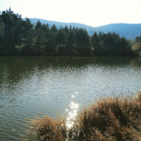 Lac de Thorenc du Restaurant français La Flambée du Lac à Andon - n°8