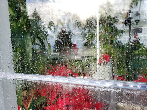 Park «Volunteer Park», reviews and photos, 1247 15th Ave E, Seattle, WA 98112, USA