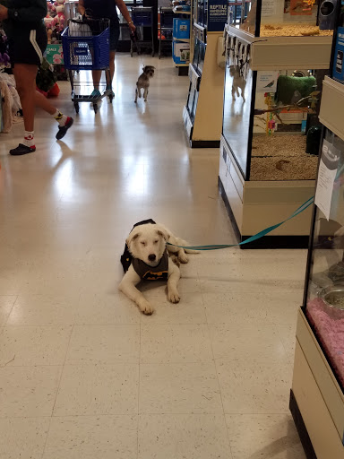 Pet Supply Store «PetSmart», reviews and photos, 7663 Arundel Mills Blvd, Hanover, MD 21076, USA