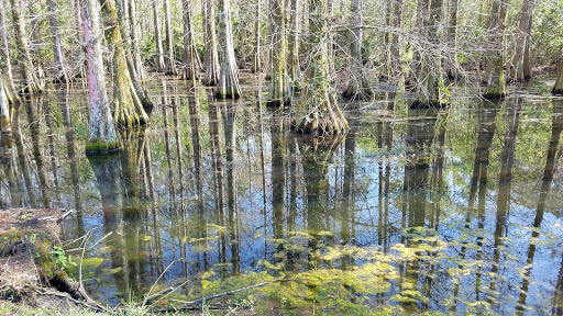 Golf Club «Westchase Golf Club», reviews and photos, 11602 Westchase Golf Dr, Tampa, FL 33626, USA