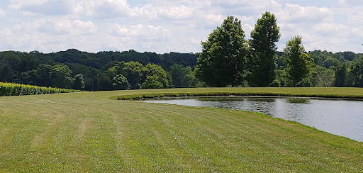 Vineyard «Laurentia Vineyard & Winery», reviews and photos, 4599 S Madison Rd, Madison, OH 44057, USA