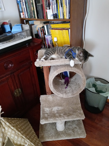 Pet Supply Store «Pet Supplies Plus», reviews and photos, 9143 Little Rd, New Port Richey, FL 34654, USA