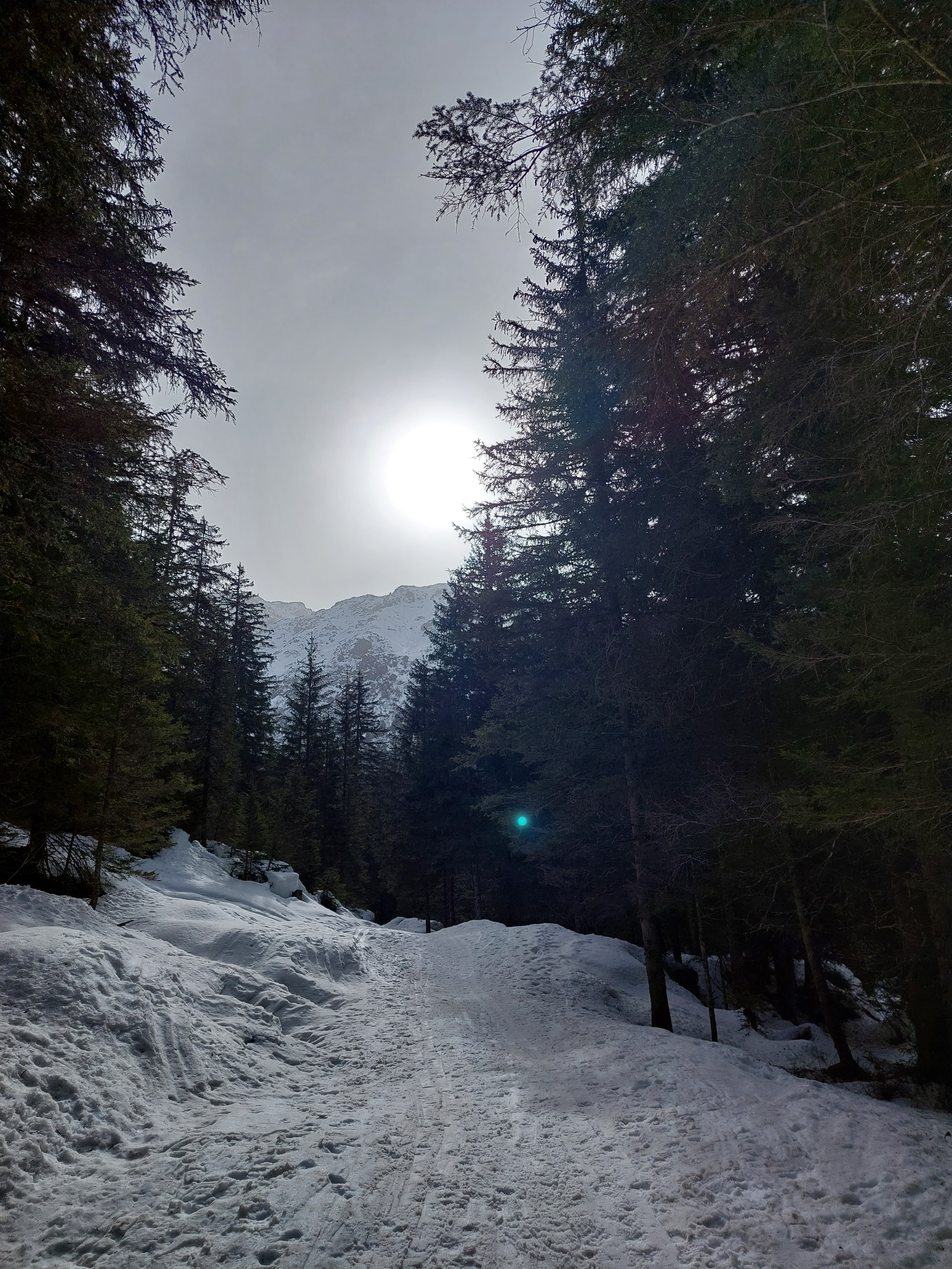 Photo n° 4 de l'avis de Corinne.o fait le 19/03/2022 à 18:25