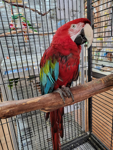 Pet Store «Louis Birds Pets & Supplies», reviews and photos, 80 Keyes St, San Jose, CA 95122, USA